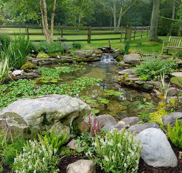 Home - Alter Ecosystems Ponds & Waterfalls