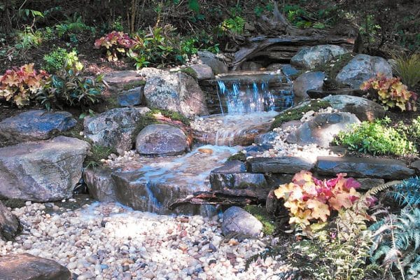 pondless edits-1 pondless edits-1