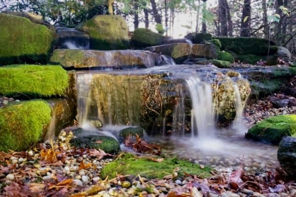 pondless edits-2 pondless edits-2